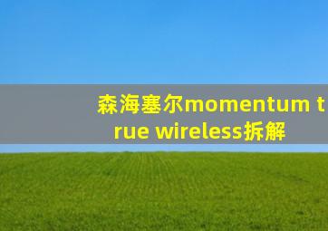 森海塞尔momentum true wireless拆解